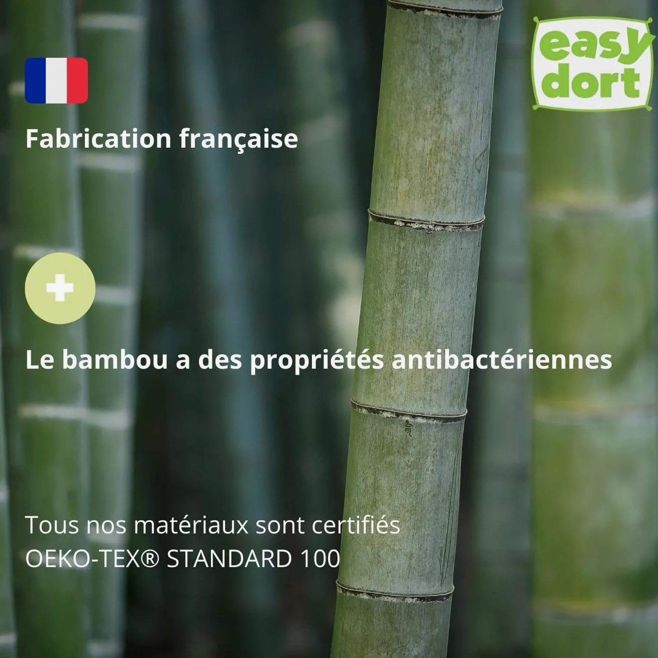 Easy Dort El | Colchón de bebé de 50 x 100 cm – cuna – cuna – funda de bambú | verano e invierno | doble cara | cómodo | fabricado en Francia | blanco |
