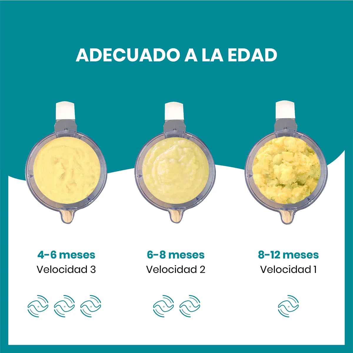 Babymoov Nutribaby(+), Robot Multifunción 6 en 1, Vaporera, Batidora, Gran Capacidad para el Bebé, Óptimo para la Cocina por Lotes, Blanco