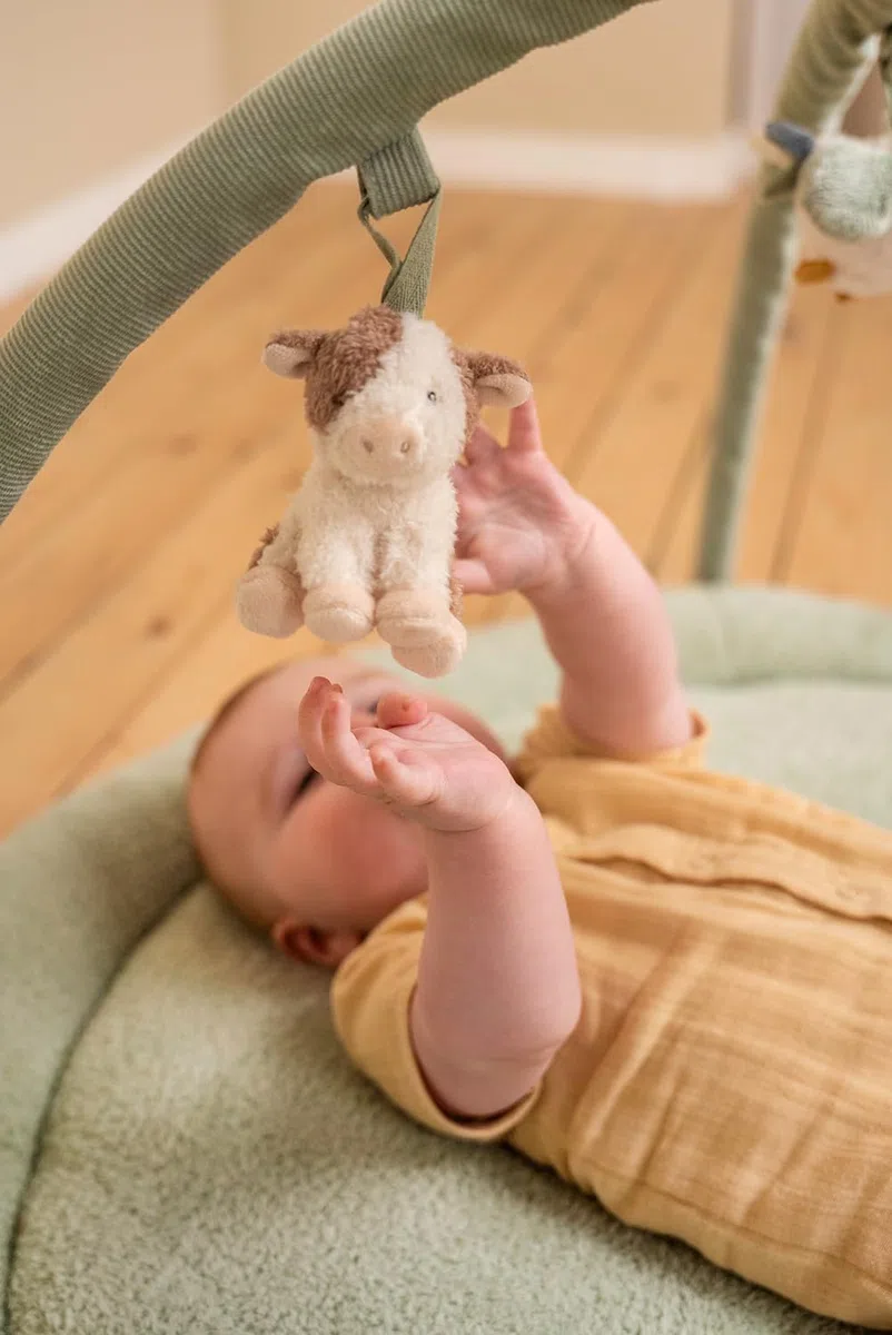 Little Dutch Little Farm 8817 - Manta para gatear con arco de juego
