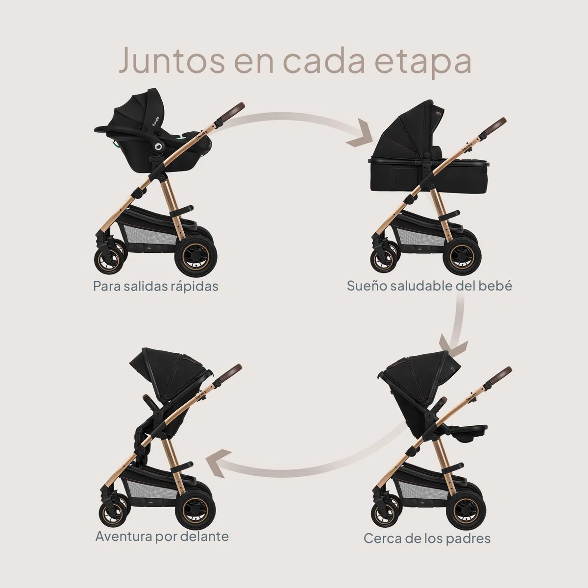 LIONELO Amber Coche de bebé multifuncional 3 en 1 Conjunto silla de paseo con el Asiento de Cubo e Capazo Manillar regulable Bolsa Mosquitero Protector de lluvia Asiento de coche